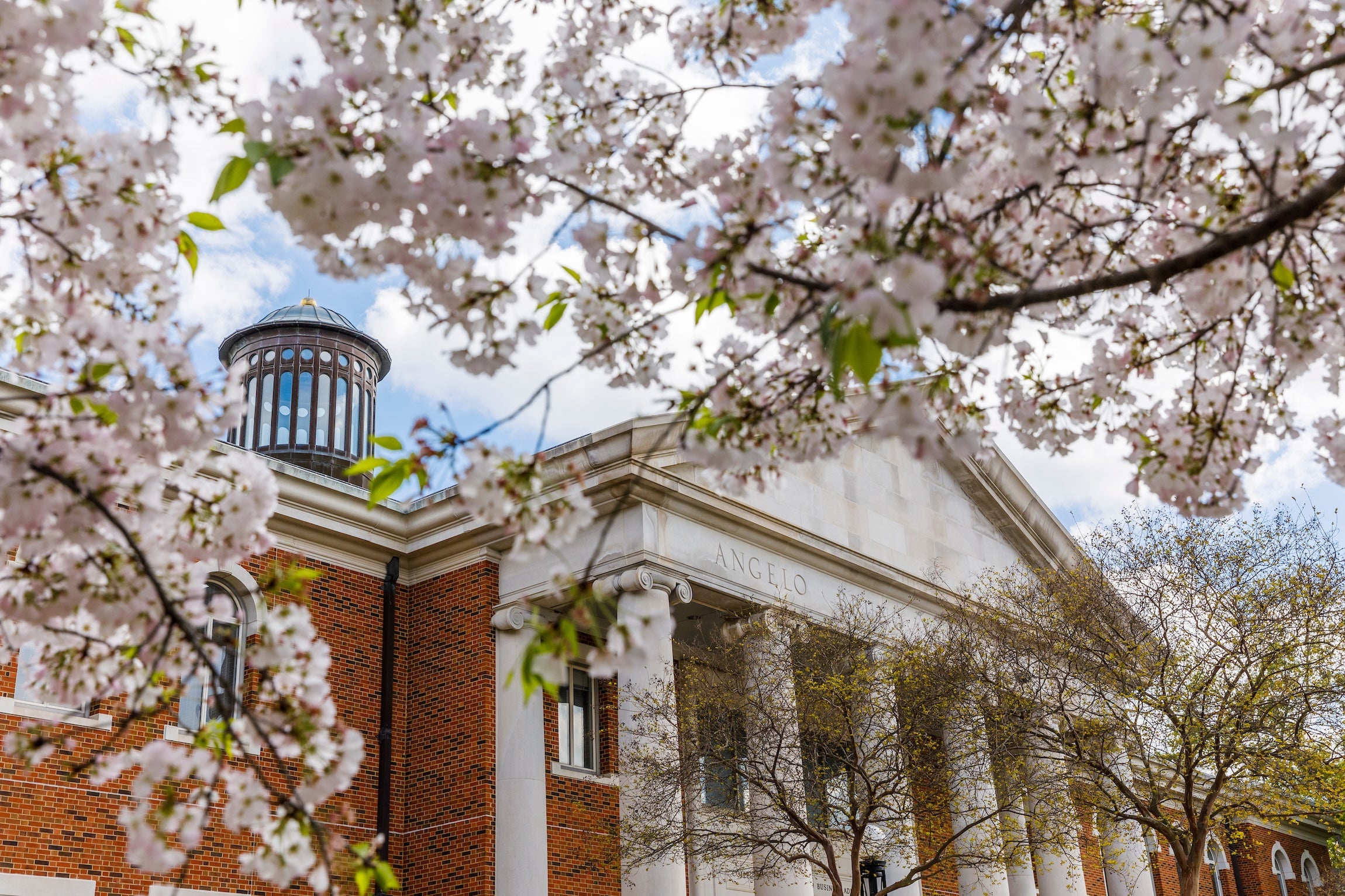 Academic Resources at UA Capstone Center for Student Success