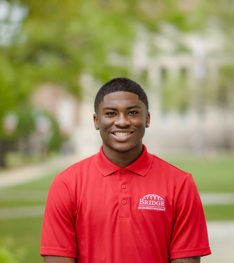 Tyree, BRIDGE Builder